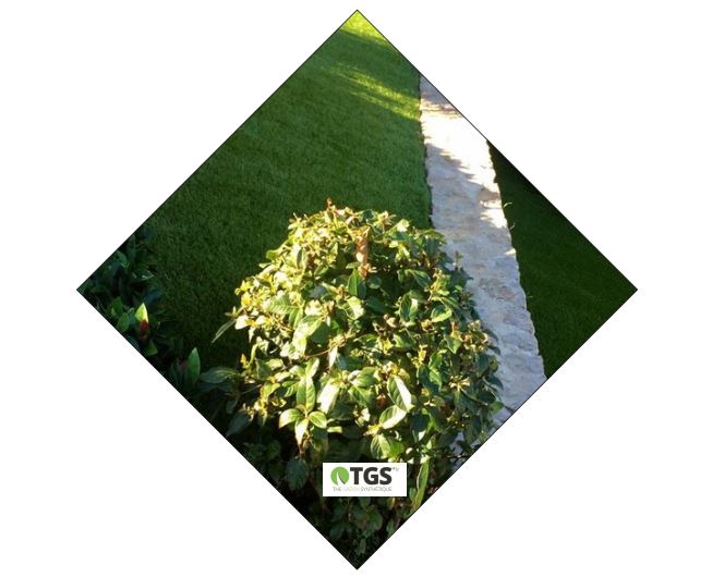 Vente et pose de pelouse artificielle à Paris